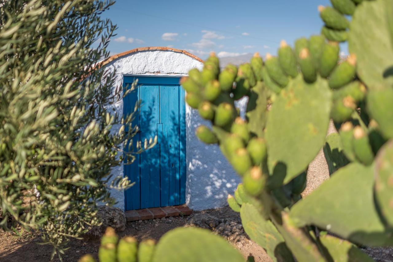 Al Agia - Mirador De Los Quinientos Padul Esterno foto